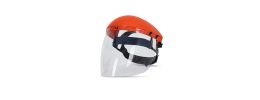JB's Visor and Browguard