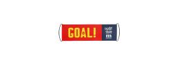 Hand Held Roll Out Fan Flag