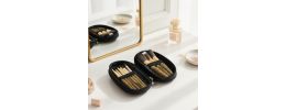 9 Brushes in a Case