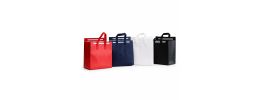 13L Insulated Reusable Bag