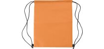 Polyester (210D) cooler bag Corina