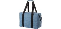 600D polyester cooler bag Alejandro
