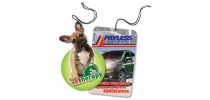 Cardboard Car Air Freshener