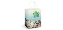 Large Paper Carry Bag - Full Colour