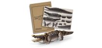 BRANDCRAFT Crocodile Wooden Model