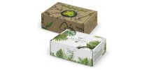 Die Cut Box with Locking Lid - 175x130x65mm
