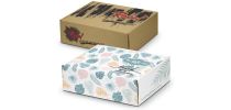 Die Cut Box with Locking Lid - 502x295x150mm