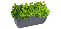 Decor Sorrento Self-Watering Plantpot Oblong 600mm