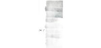 Island 100 Bath Sheet