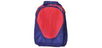 Climber Polyester Backpack