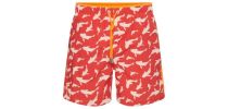 Belize Koi Swim Shorts