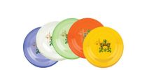 Turin Frisbee