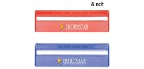 20cm Ruler with Magnifying