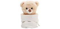 Large Teddy Bear