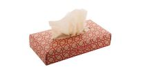 CreaSneeze Eco custom paper tissues
