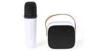Karaoke Speaker Set