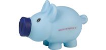 Plastic Piggy Bank With Screw Lid