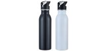 Stainless Steel Drink Bottle with Straw