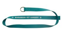 Heavy Duty Polyester Screen Printed Leash with D-Ring
