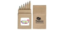 Mini Coloured Pencils In Recycled Cardboard Box