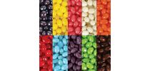 Corporate Colour Jelly Beans Bulk
