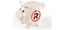 World's Smallest Pig Eco Coin Bank