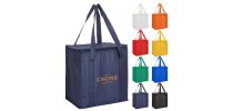 Non Woven Cooler Bag with Zipped Lid