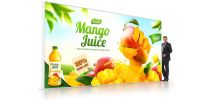 SEG Backlit LED Light Box Display (600 x 240cm)