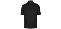 Formula Polo