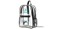 Transparent Backpack