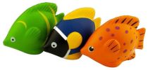 Stress Tropical Fish