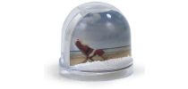 Snow Globe MX