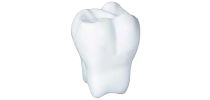 Stress Tooth