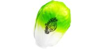 Stress Cabbage