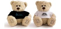 Teddy Bear MX