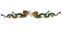 Temporary Tattoo (229mm x 25mm)