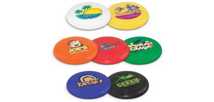 Small Flyer Frisbee