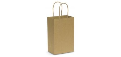 Paper Carry Bag - Small