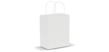 Paper Carry Bag - Medium