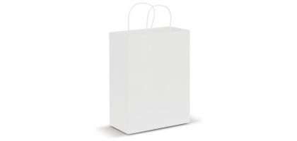 Paper Carry Bag - Large