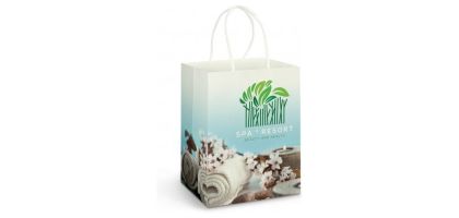 Large Paper Carry Bag - Full Colour