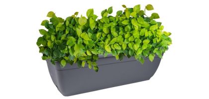 Decor Sorrento Self-Watering Plantpot Oblong 600mm