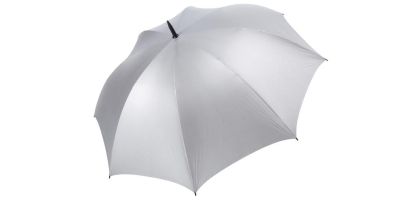 Virginia Silver Umbrella