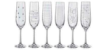 Elements Champagne Flute Set of 6