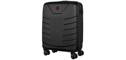 Pegasus Hardside Carry-on