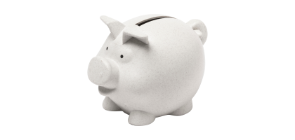 Coiny Piggy Bank