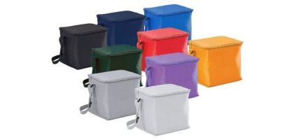 Small Cooler Bag