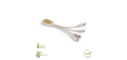 Ecology Charging Cable
