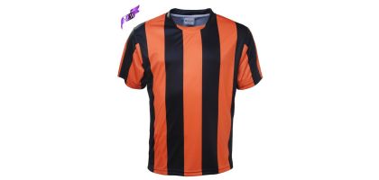 Unisex Adults Sublimated Striped Football Jersey