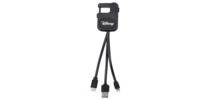 Delton Charging Cable